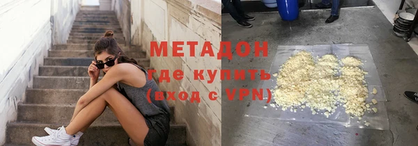 гашик Алексин