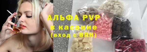 гашик Алексин