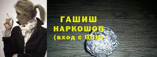 гашик Алексин
