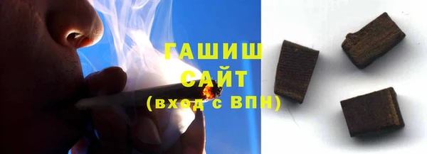 гашик Алексин