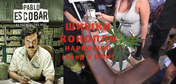 spice Алексеевка