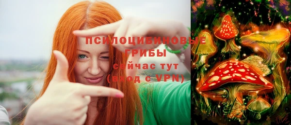 гашик Алексин
