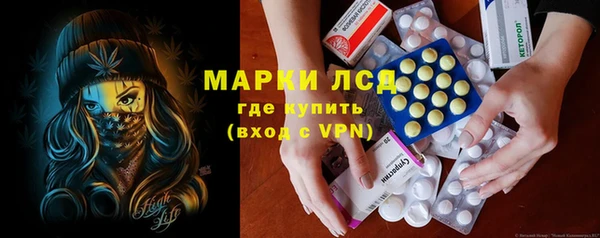 гашик Алексин
